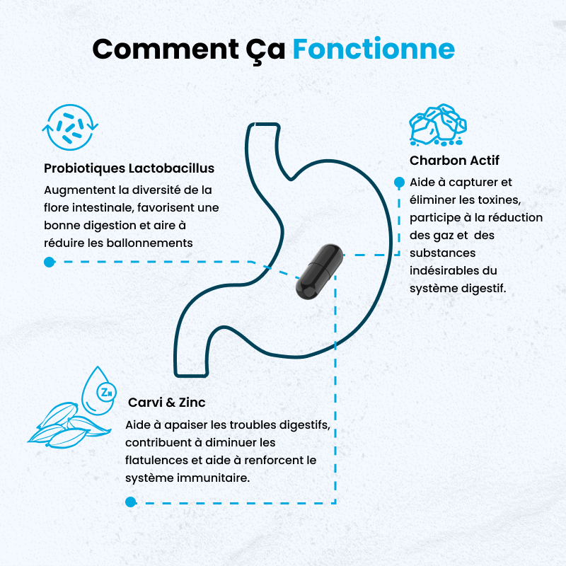 Detox Intest Probiotic
